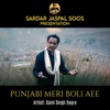 About Punjabi Meri Boli Aee Song